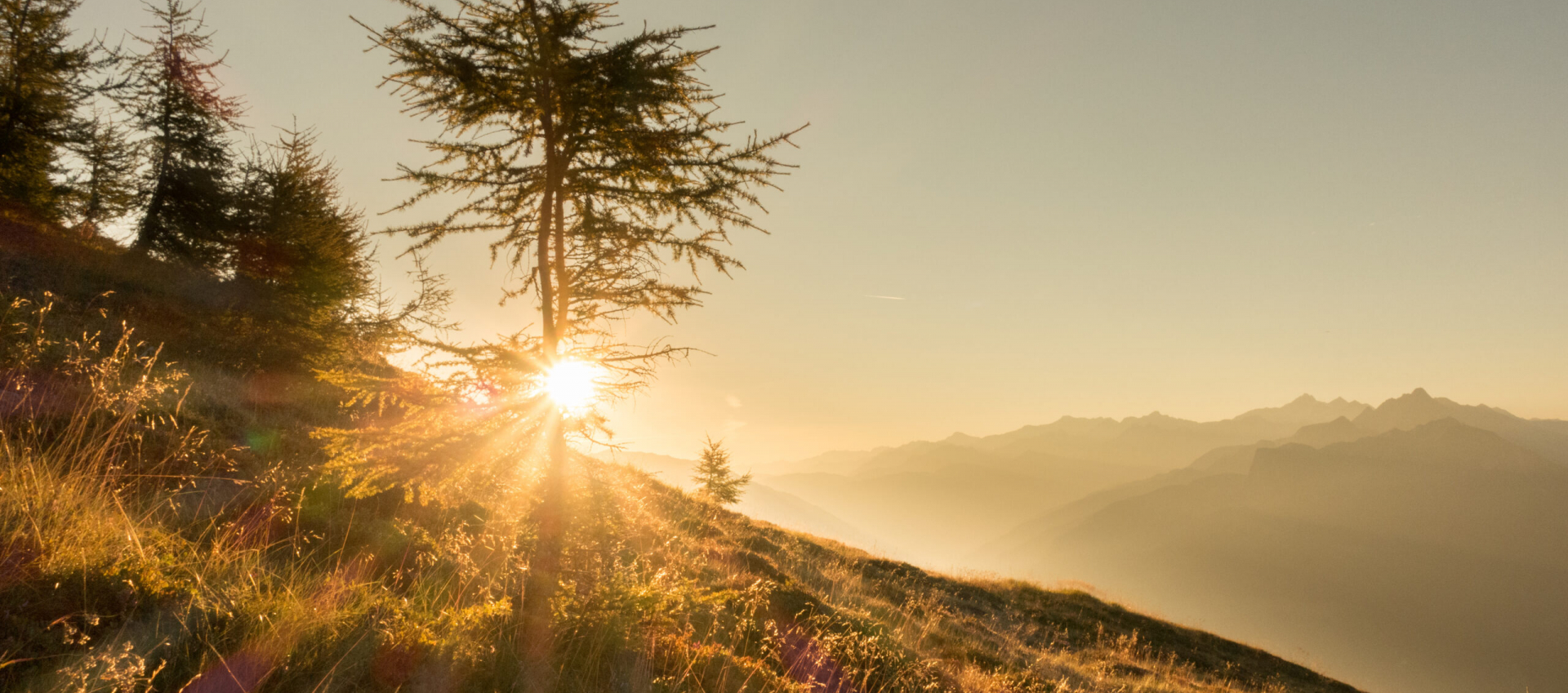 ... der goldene Herbst in Pfelders